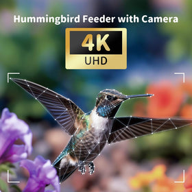 FreeKoala Solar-Powered Feeder Camera ensures continuous outdoor bird watching.