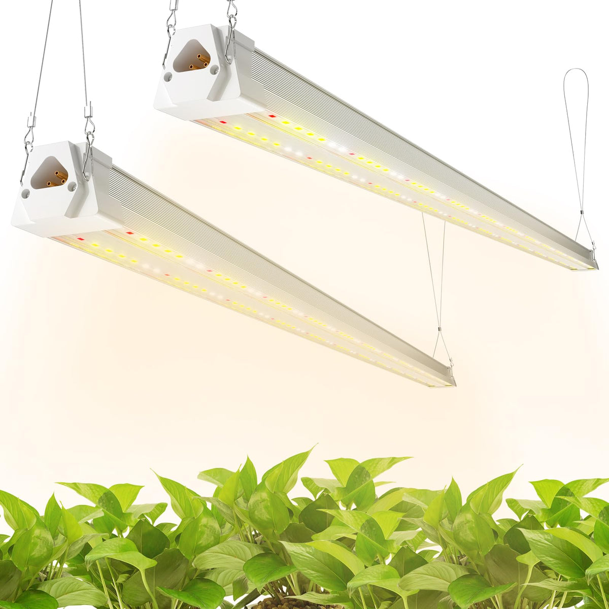 FREELICHT 2-pack 4ft grow light with sunlike spectrum for seedling growth