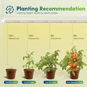FREELICHT full-spectrum LED grow light supports robust indoor plant growth.