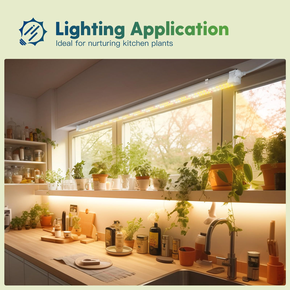 FREELICHT grow light supports seedling to flowering stages