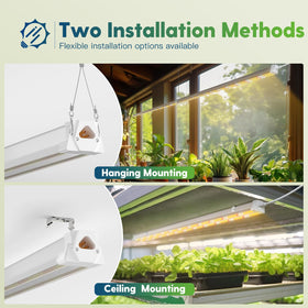 FREELICHT indoor plant light ideal for kitchens and windowsills.