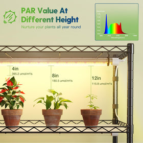 FREELICHT LED grow lights 5000K with timer in action for seed starting