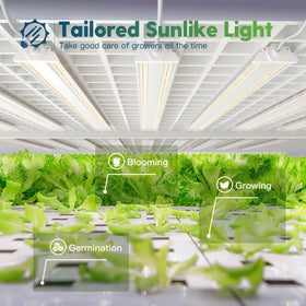 FREELIGHT 4ft LED Grow Light illuminated panels show even light