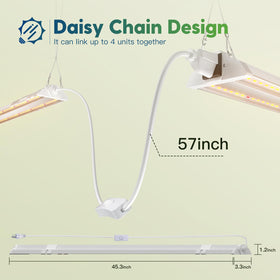 FREELIGHT 4ft LED Grow Light packaging and setup ready