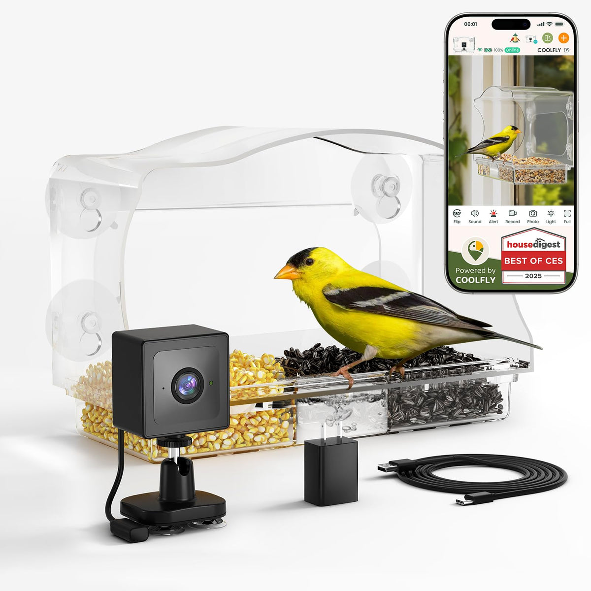 Freeseason bird feeder camera outdoors enables real-time window bird watching.