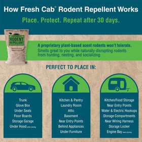 Fresh Cab in garage or shed protecting tools and equipment.