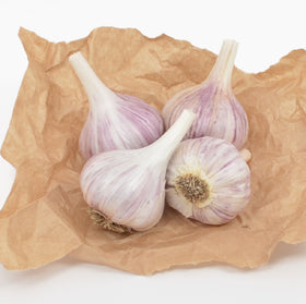 Fall planting-ready Chesnok Red bulbs from Fresh Garlic support next-season harvest.