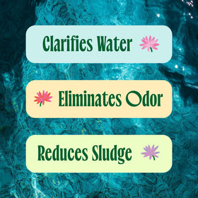 Clear water after treatment with Fresh Pond Koi Pond Water Treatment improves visibility