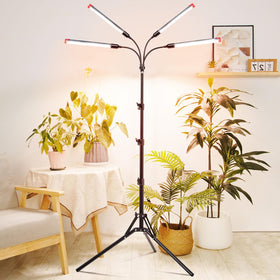 FRGROW 4Head true full spectrum lighting for gentle plant care.