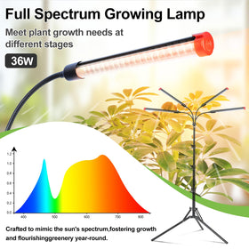 FRGROW 4Head full spectrum lighting for broad plant coverage.
