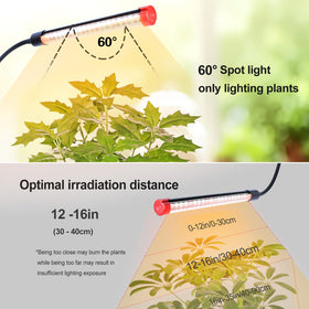 FRGROW 4Head light with adjustable height supports plant growth stages.