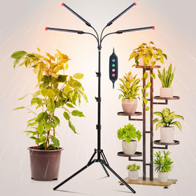 FRGROW 4Head grow light with stand for tall indoor plants, promoting balanced growth.