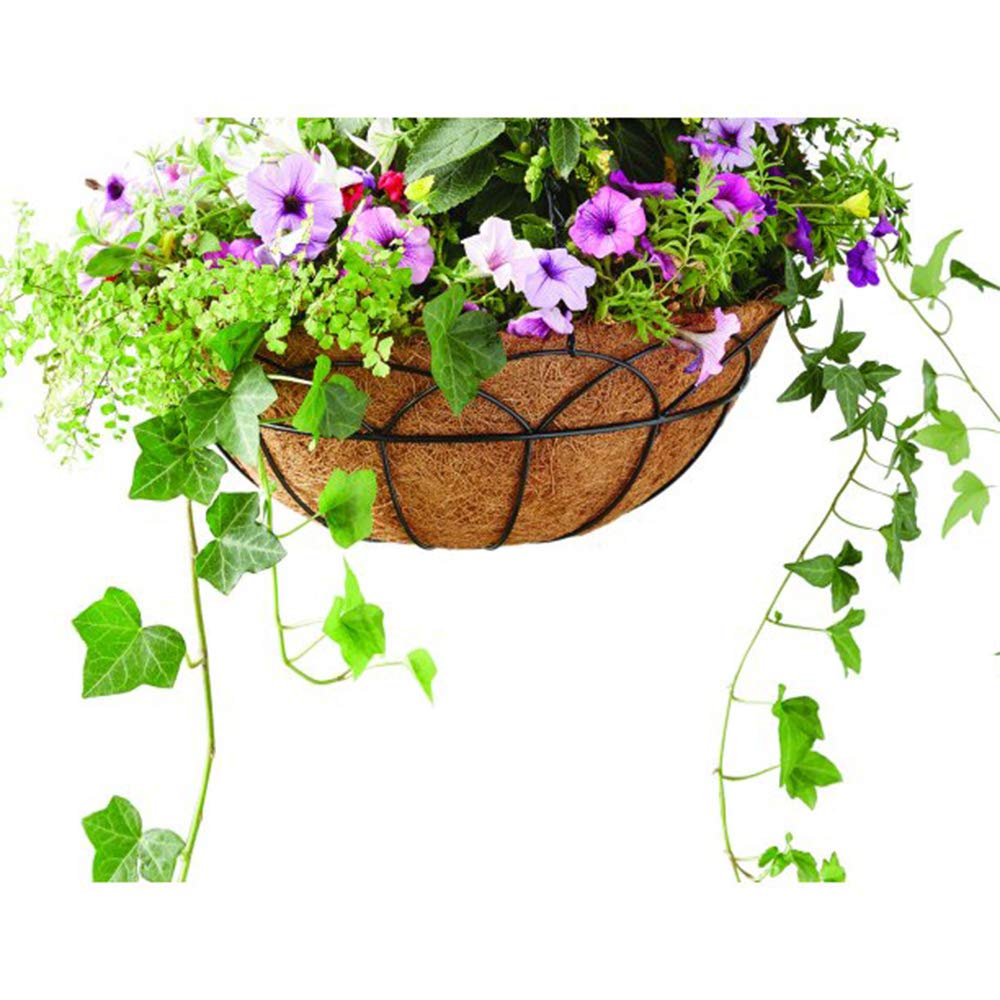 Suitable for both indoors and outdoors to frame planter displays