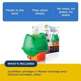 FROG Flippin' XL chlorine cartridge floats beside minerals for gentle pool treatment.