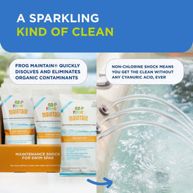 FROG Maintain for Swim Spas extends SmartChlor cartridge effectiveness.