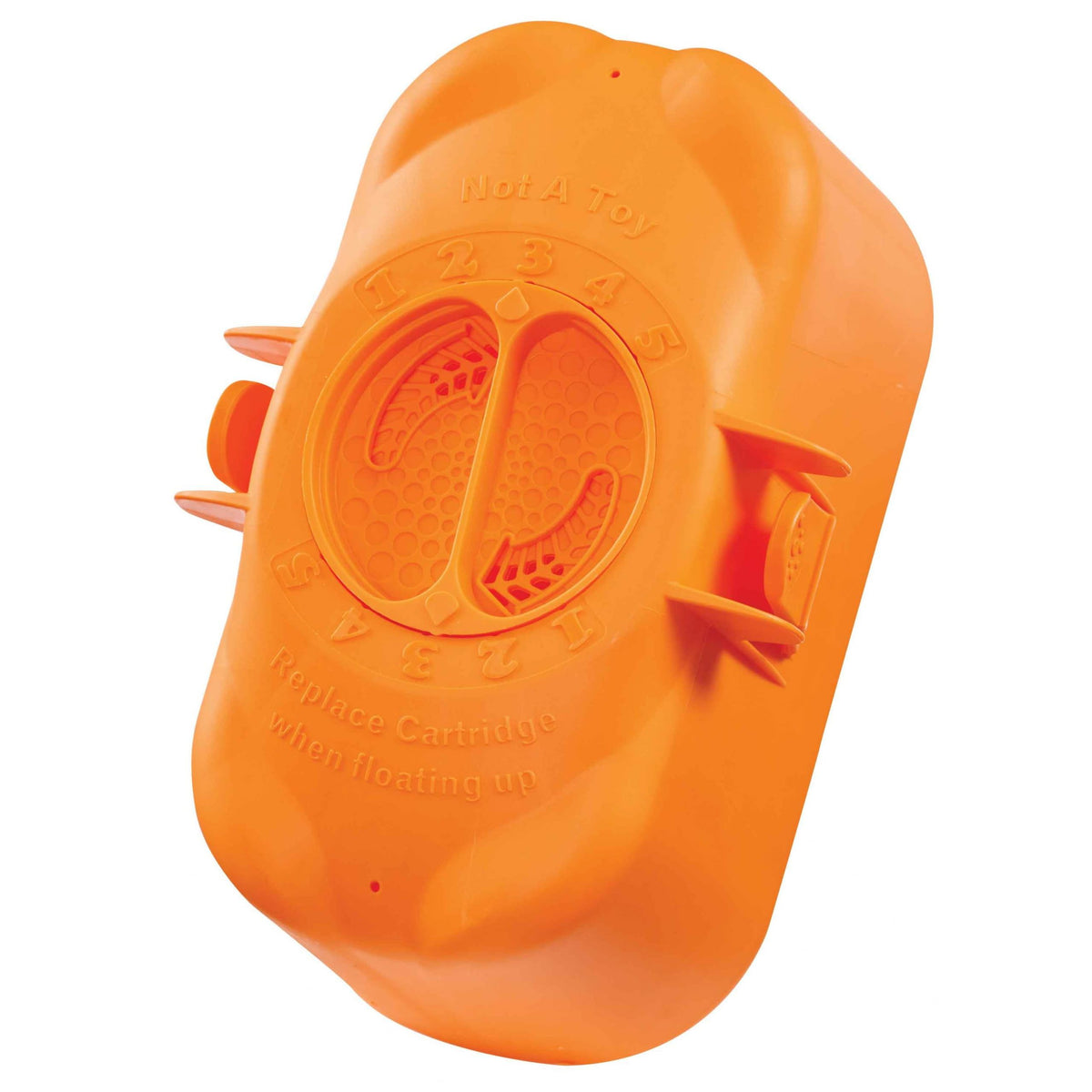 FROG replacement chlorine cartridge shown in packaging for simple pool maintenance