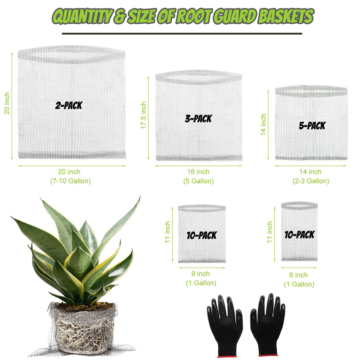 Froidesente root guard basket 1gal broad shields tubers and bulbs in soil.