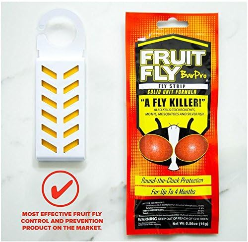 Fruit Fly BarPro placed in bathroom area minimizes flying pests.