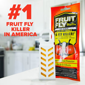 Fruit Fly BarPro strip placed near a drain for targeted kitchen pest control.