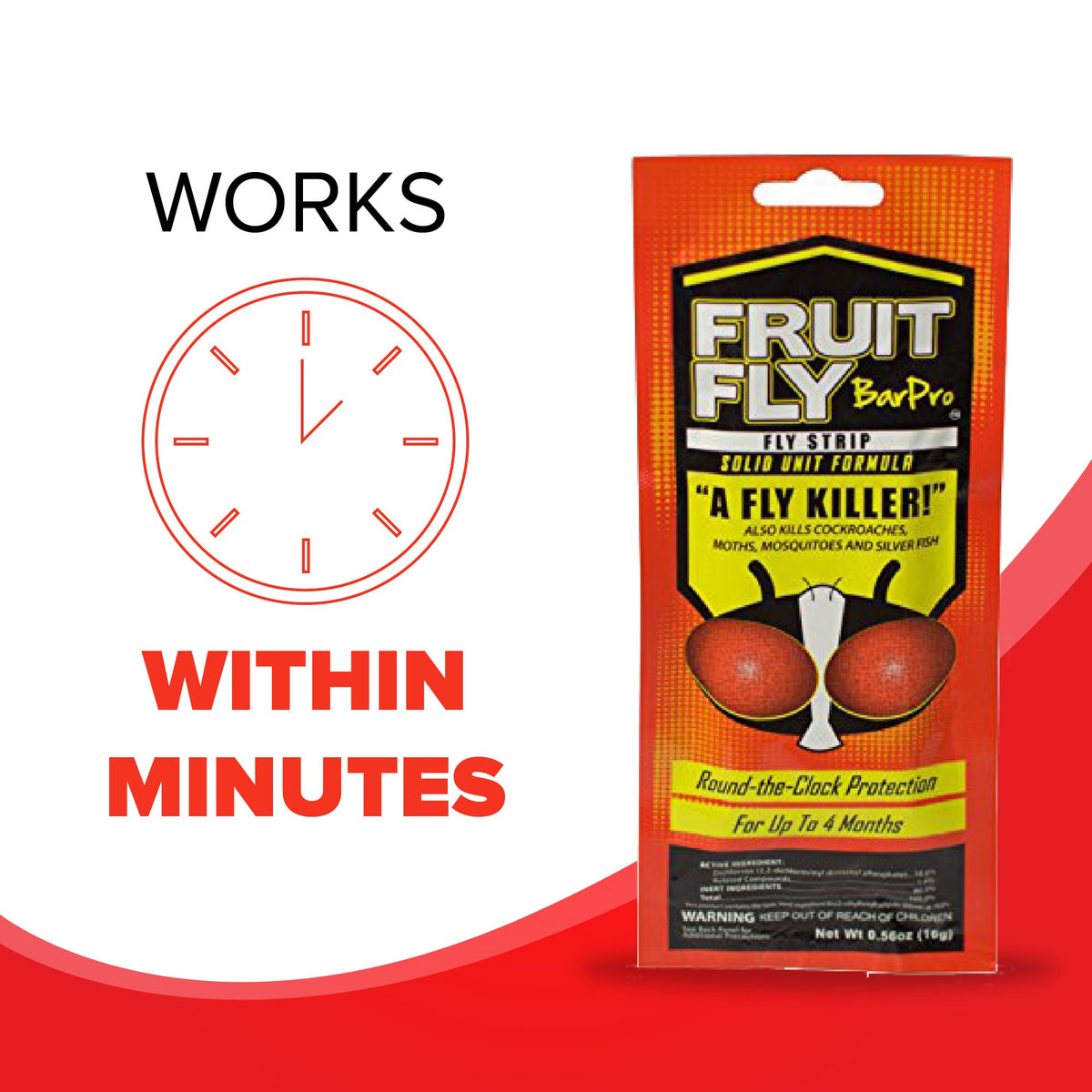 Fruit Fly BarPro strip in a laundry room helps keep drains clear.