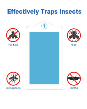 Dichroma fruit flies, mosquitoes, and gnats captured with the 24-pack refill.