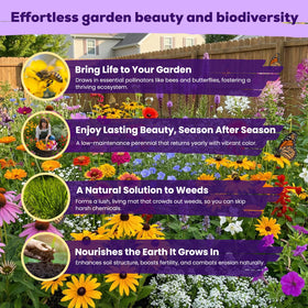 Fruivity fast germination wildflower seeds; expect sprouts in 7-20 days with lab-tested germination.