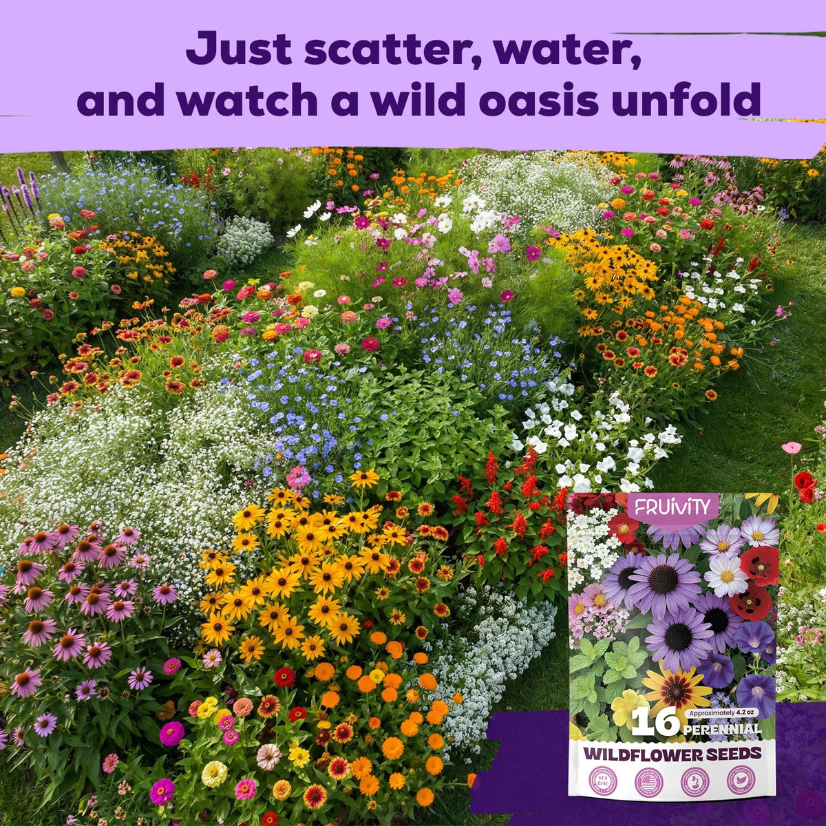Fruivity full-sun zones 3-9 resilience; adds height and texture from 6 inches to 6 feet.