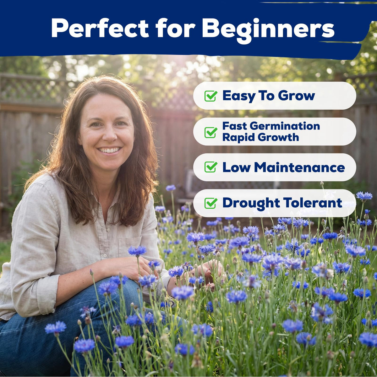 Fruivity cornflower seeds ready-to-plant in full sun deliver reliable sprouting in seven to ten days