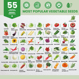 Fruivity 55 seed pack closeup highlights premium seeds ready for sowing and harvest.