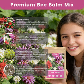 Fruivity bee balm seeds container-garden supports balcony planting