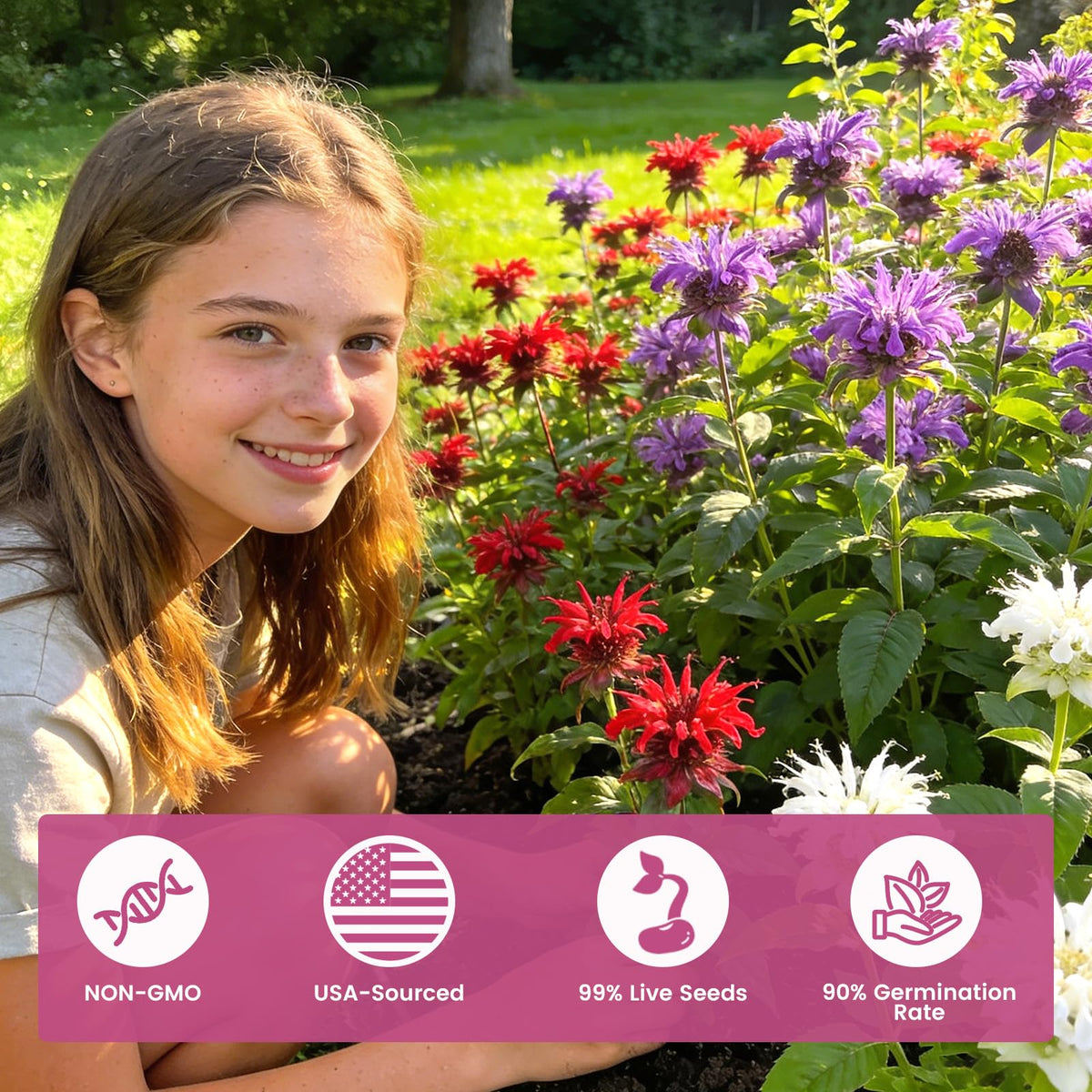 Fruivity bee balm seeds meadow-bloom offers colorful pollinator-friendly meadow potential