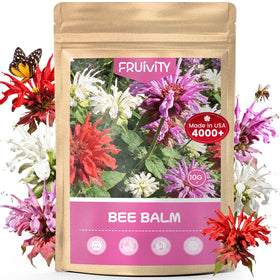 Fruivity bee balm seeds pack for vibrant borders and containers with easy germination
