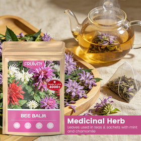 Fruivity bee balm seeds pollinator-attract draws bees and butterflies to gardens