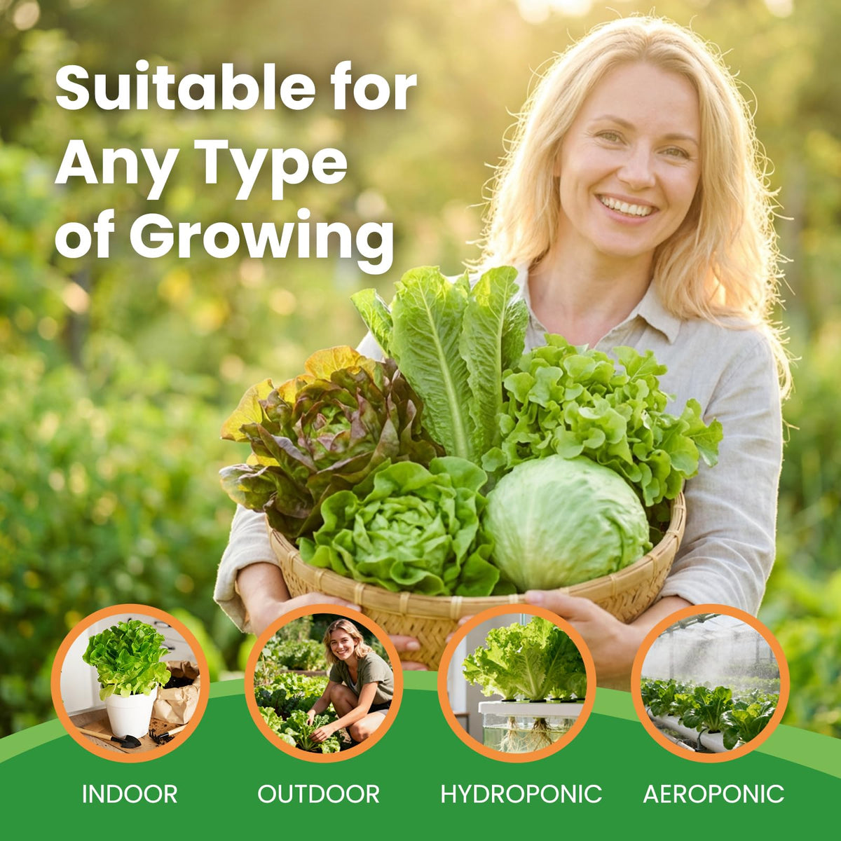 Fruivity Black-Seeded Simpson lettuce seeds highlighting unique texture