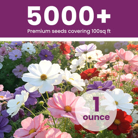 Fruivity Cosmos Seeds Mix contains over 5,000 seeds in a bulk 1 oz packet.