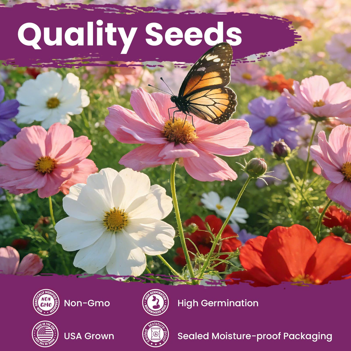 Fruivity Cosmos Seeds Mix delivers fresh, high-germination seeds with clear planting instructions.