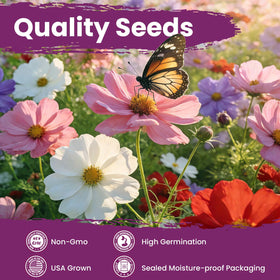 Fruivity Cosmos Seeds Mix delivers fresh, high-germination seeds with clear planting instructions.