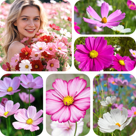 Fruivity Cosmos Seeds Mix includes a reusable zipper pouch to preserve seed freshness.
