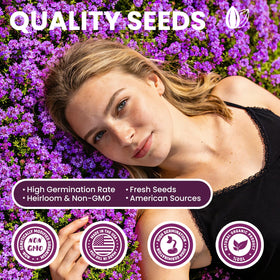 Fruivity creeping thyme seeds pink-lavender blooms attract pollinators.