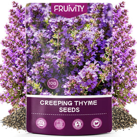 Fruivity creeping thyme seeds for planting create an easy, dense ground cover.