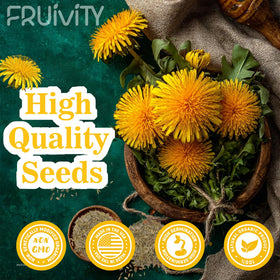Fruivity Dandelion Seeds closeup seed-count highlights 5000+ seeds