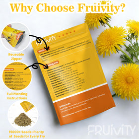 Fruivity Dandelion Seeds flowers in bloom for edible options