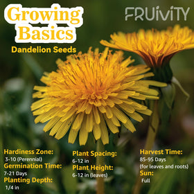 Fruivity Dandelion Seeds back view showing resealable packaging for freshness