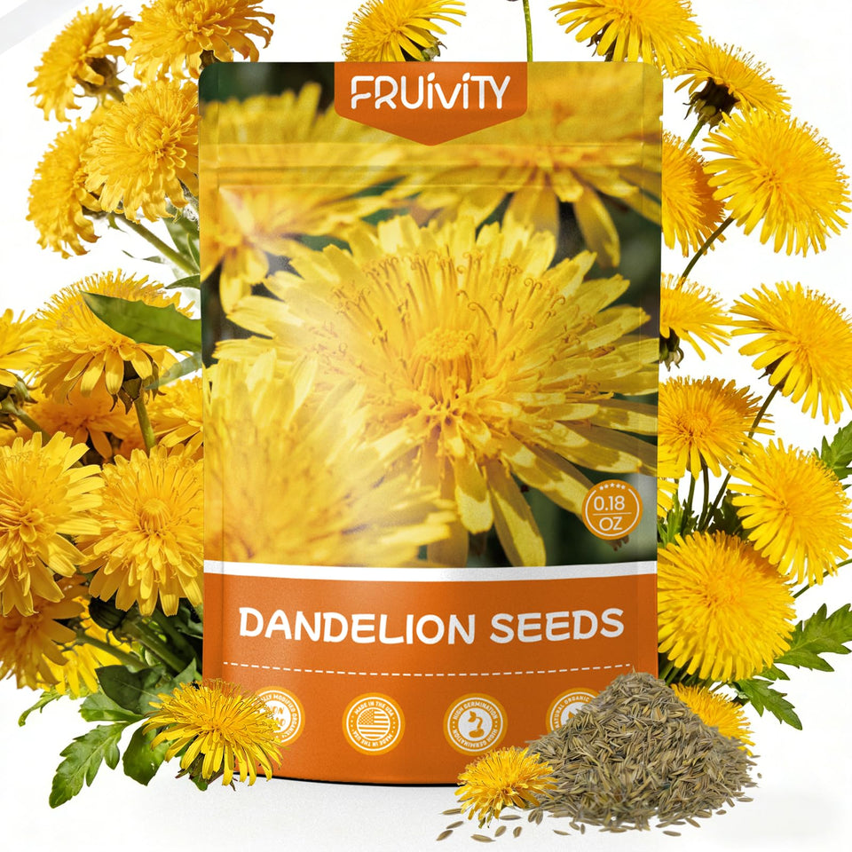 Fruivity Dandelion Seeds pack front for a pollinator-friendly garden