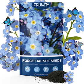 Fruivity Forget-Me-Not seeds trio colors brighten borders and containers.
