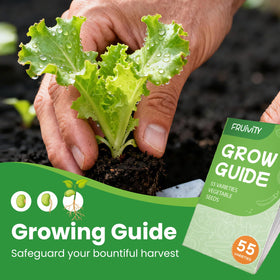 Fruivity seed assortment hints at fresh harvest ideas and seasonal planting plans.