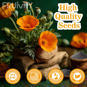 Fruivity garden bed setup featuring California Poppy planting