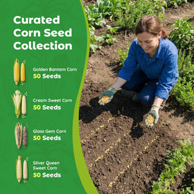 Fruivity germination-tested seeds support a reliable, steady harvest.