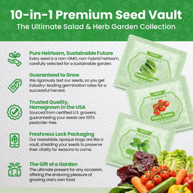 Fruivity gift-ready garden kit ideal for Easter gifting