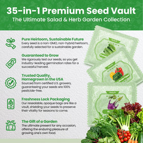 Fruivity gift seed kit is a thoughtful present for gardeners.